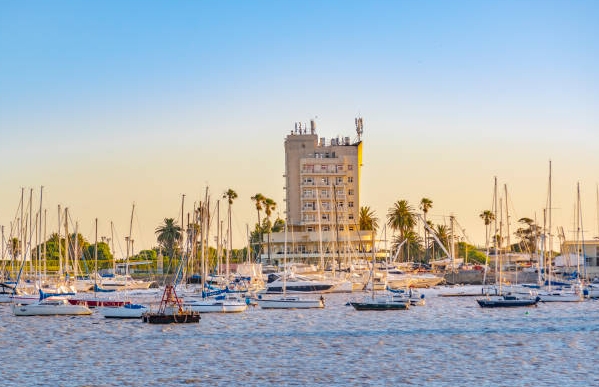 乌拉圭海关数据查询平台（附免费试用查询名额)